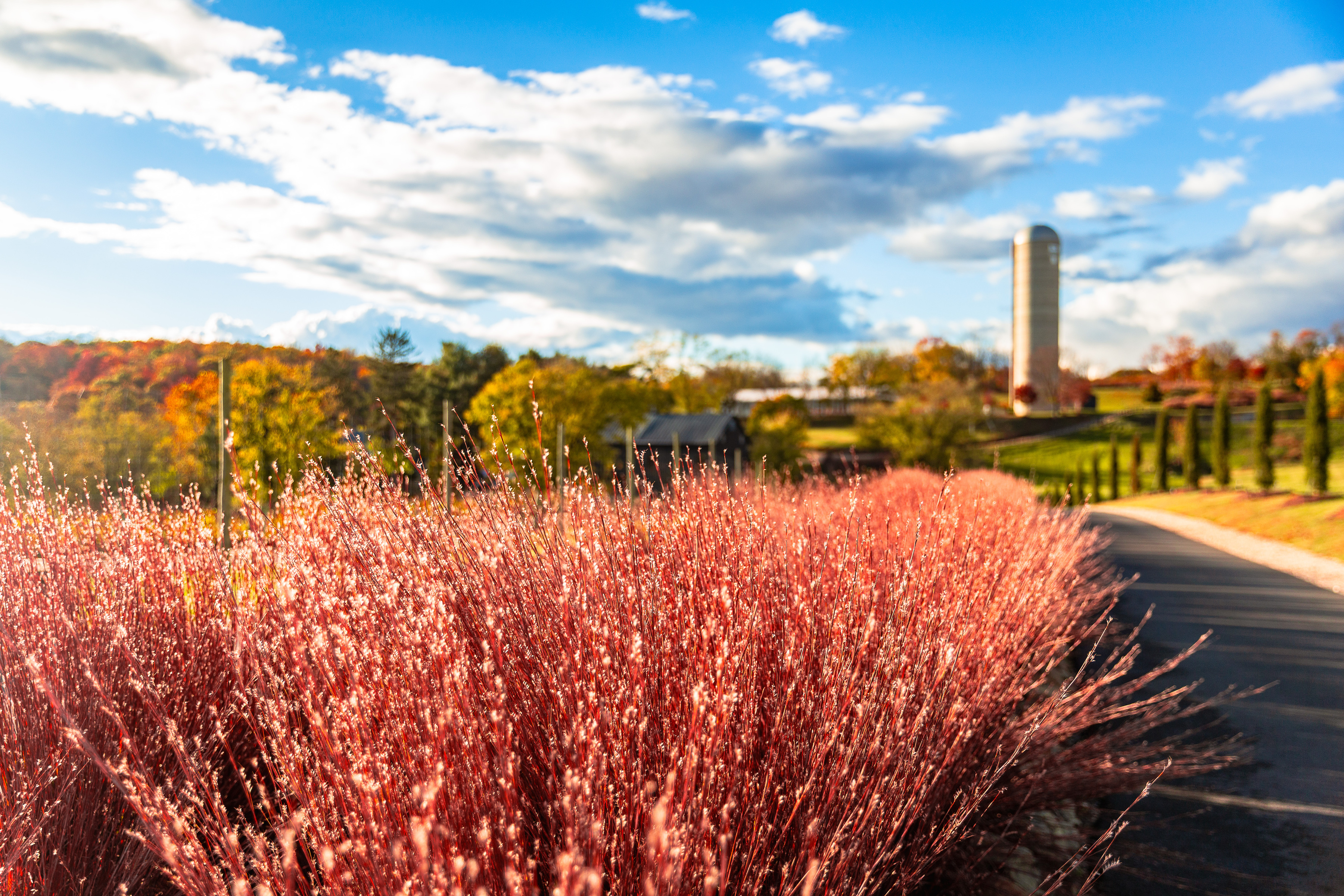 Glamping at Tranquility Farm