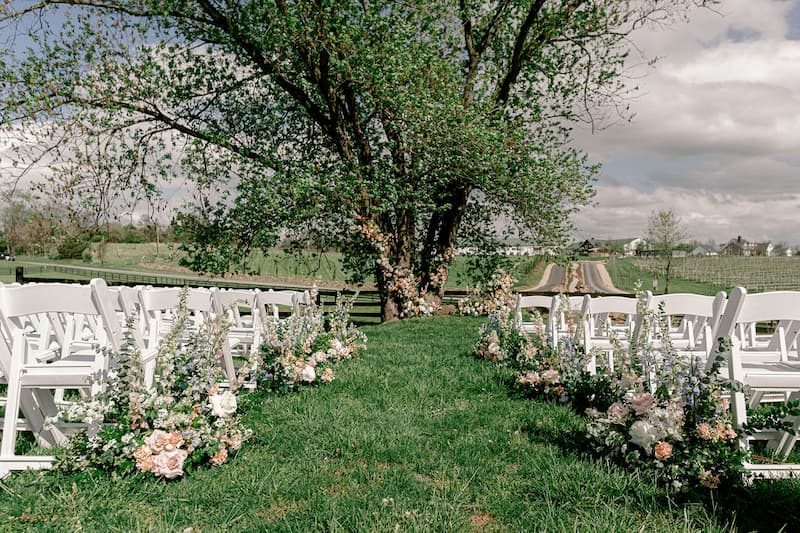 Willow Tree